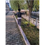 常州龙治
