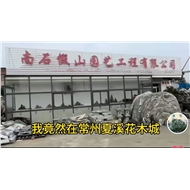 南石假山园艺