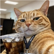 中国平安售后服务部