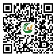 点步