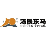 汤辰东马