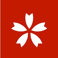 驱驰网络