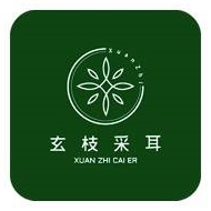 玄枝耳道管理咨询