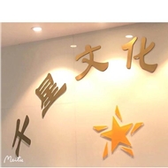 千星文化传媒