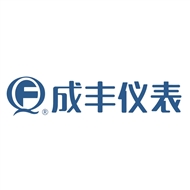 成丰流量仪表