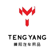 常州市腾阳汽车用品有限公司