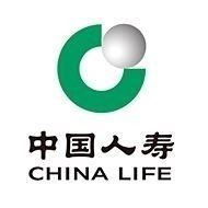中国人寿保险