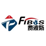 费波斯测量技术