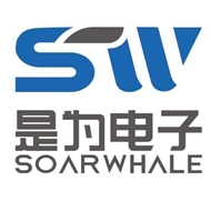 是为电子